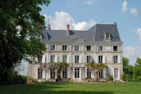 Chambres d'Hotes Château de la Puisaye